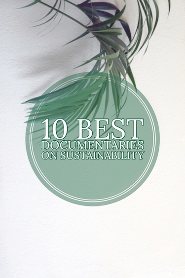 The 10 Best Documentaries on Sustainability